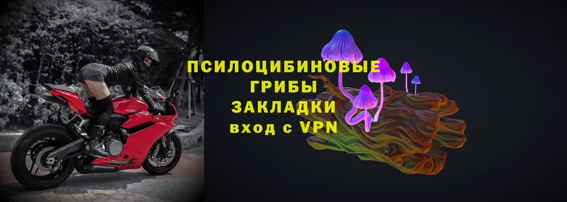 Виды наркотиков купить Александровск-Сахалинский COCAIN  Галлюциногенные грибы  ГАШИШ  Codein  Амфетамин  МЕФ 